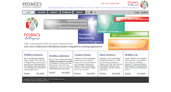 Desktop Screenshot of peobrics.com